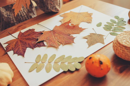 Easy DIY Fall-Inspired Crafts for Kids