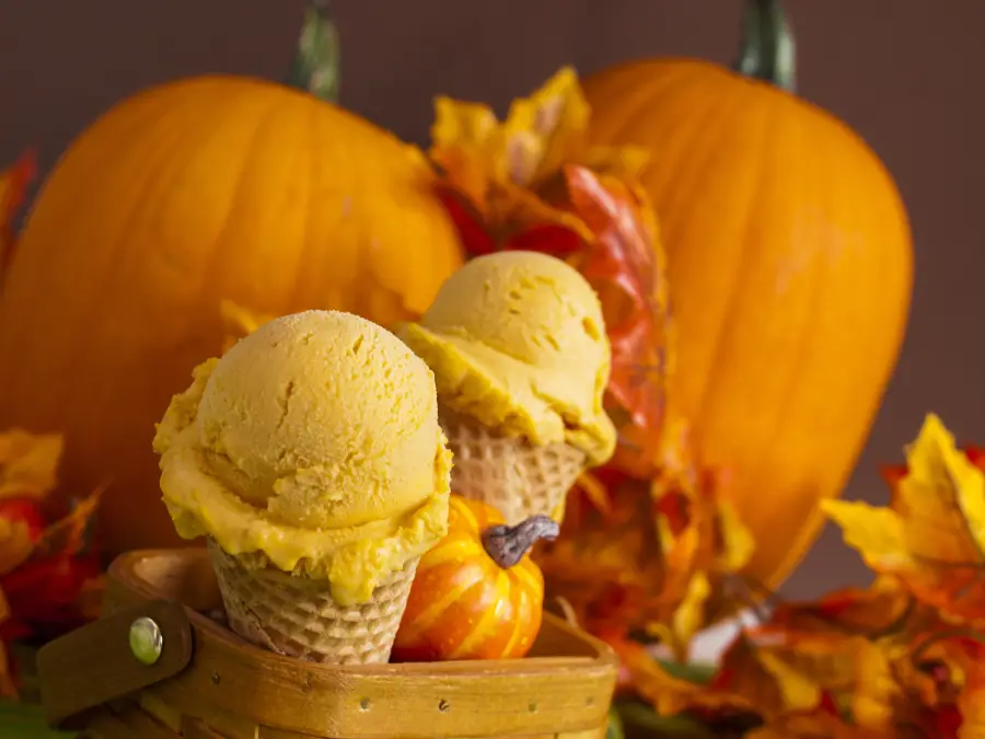 How to Make Ice Cream in a Bag with Fall Flavors