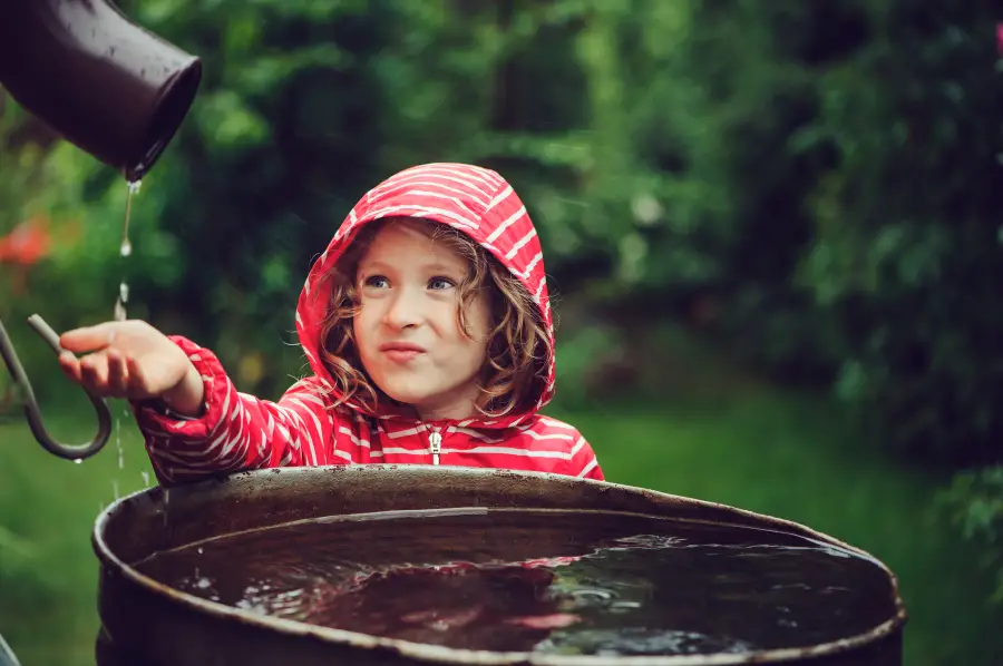 How to Build a Rain Barrel on a Budget